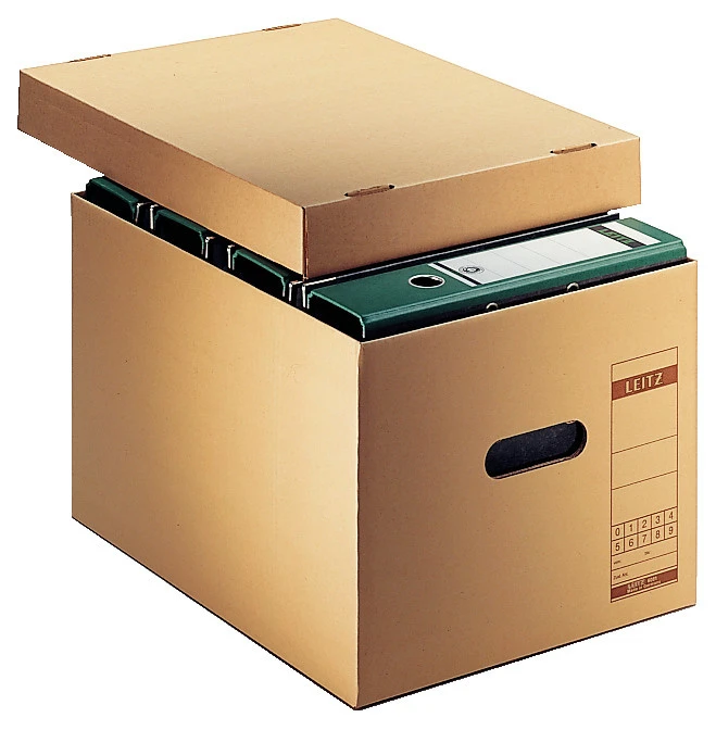 LEITZ Boîte archive Premium