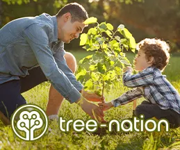 Bäume pflanzen mit «Tree Nation»