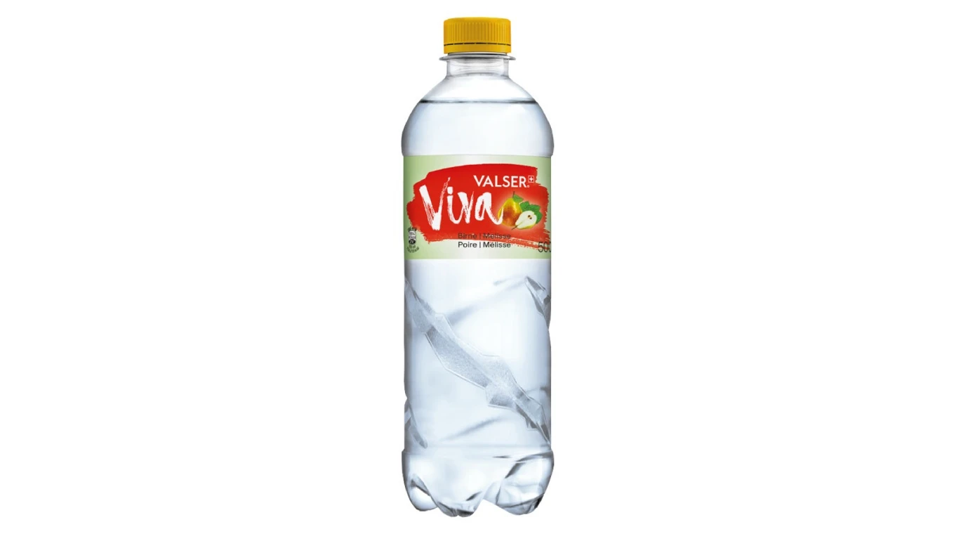 VALSER Viva 24 x 500 ml