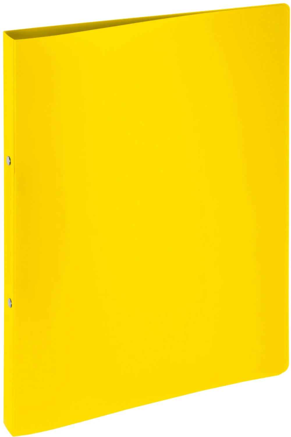 PAGNA Classeur à anneaux 23mm A4