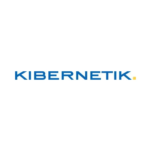 Kibernetik