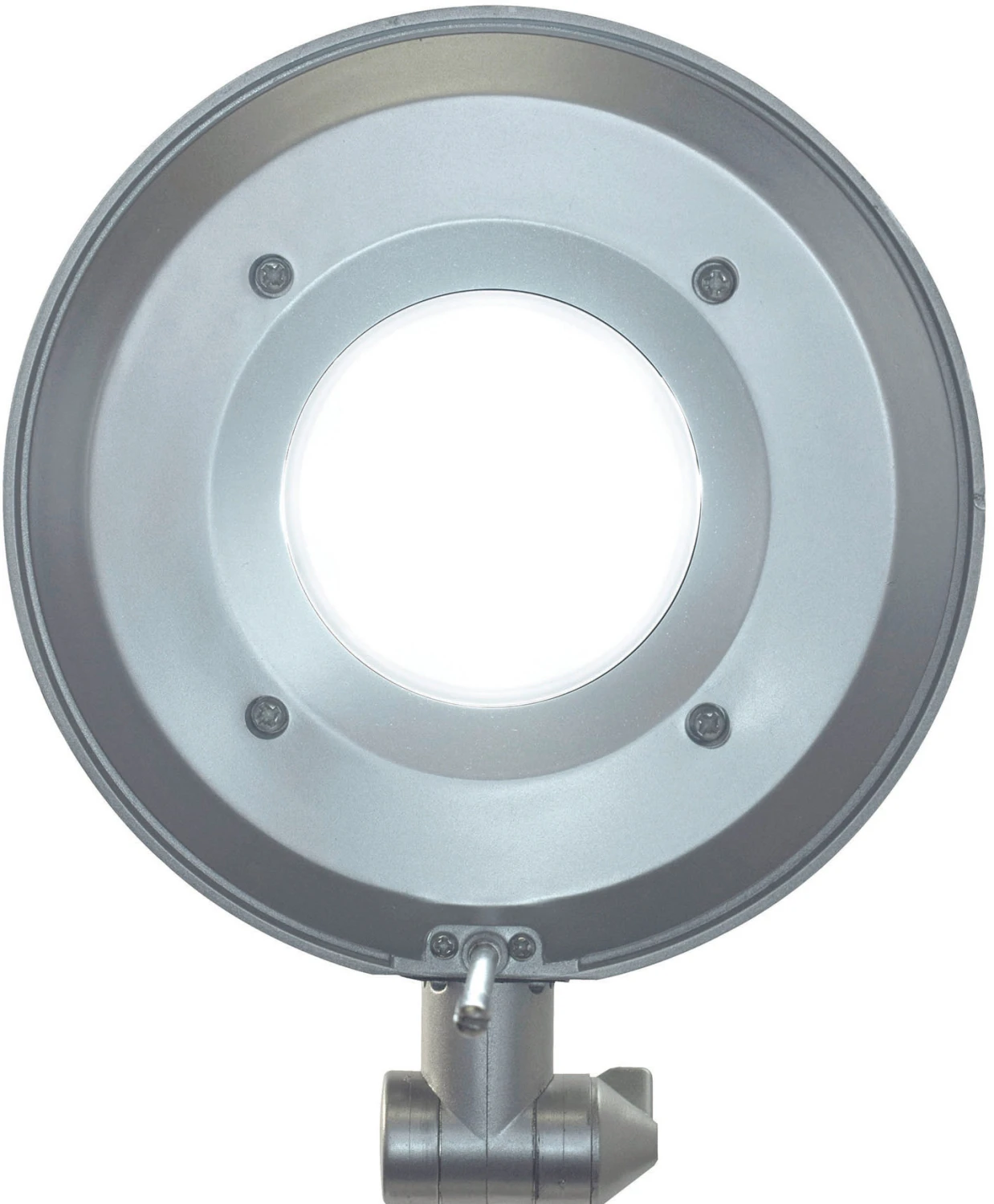 MAUL Lampe LED MAULbusiness