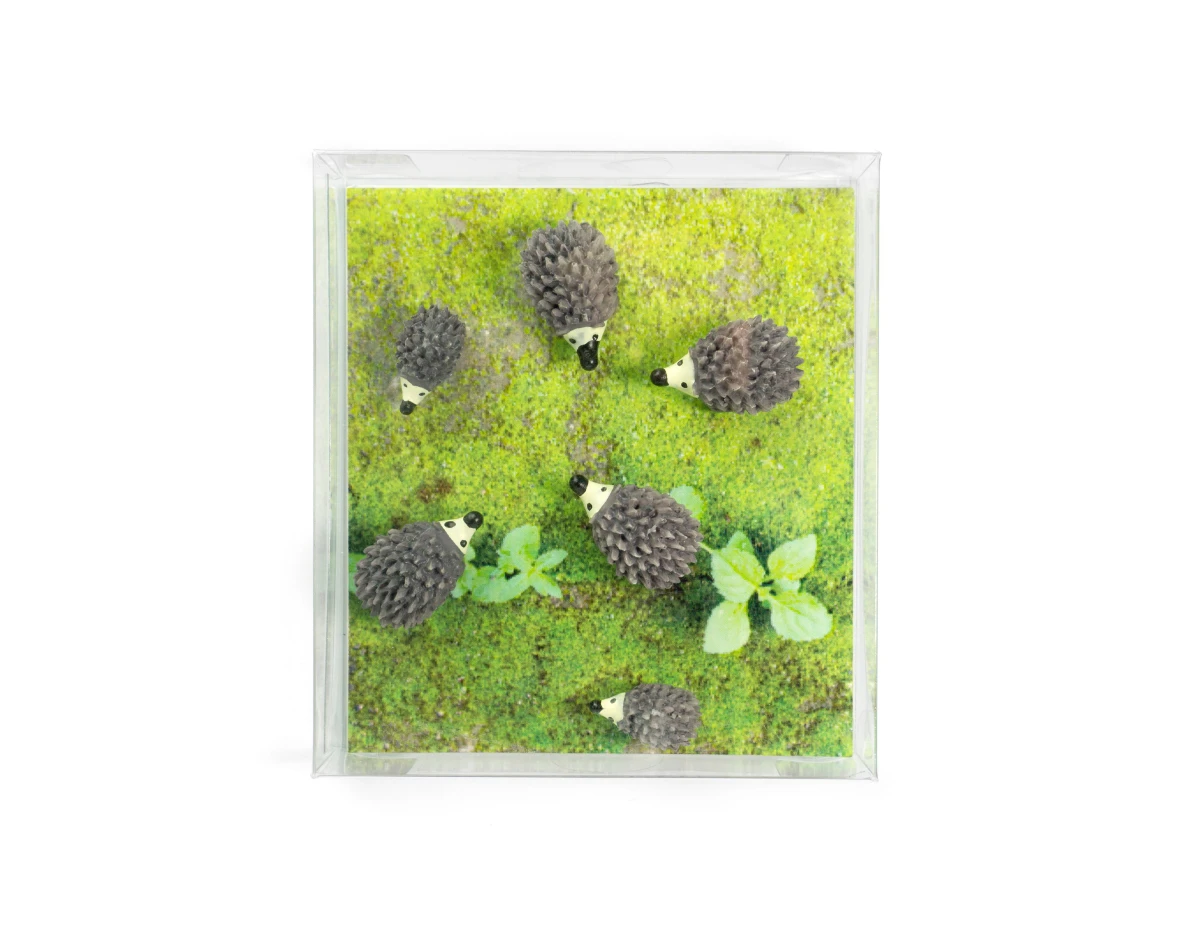 TRENDFORM Magnete HEDGEHOG