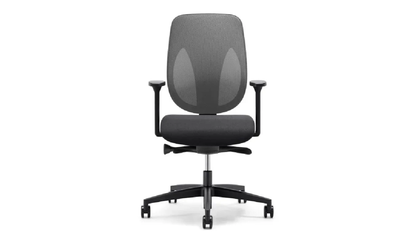 GIROFLEX Chaise de bureau 353-4029