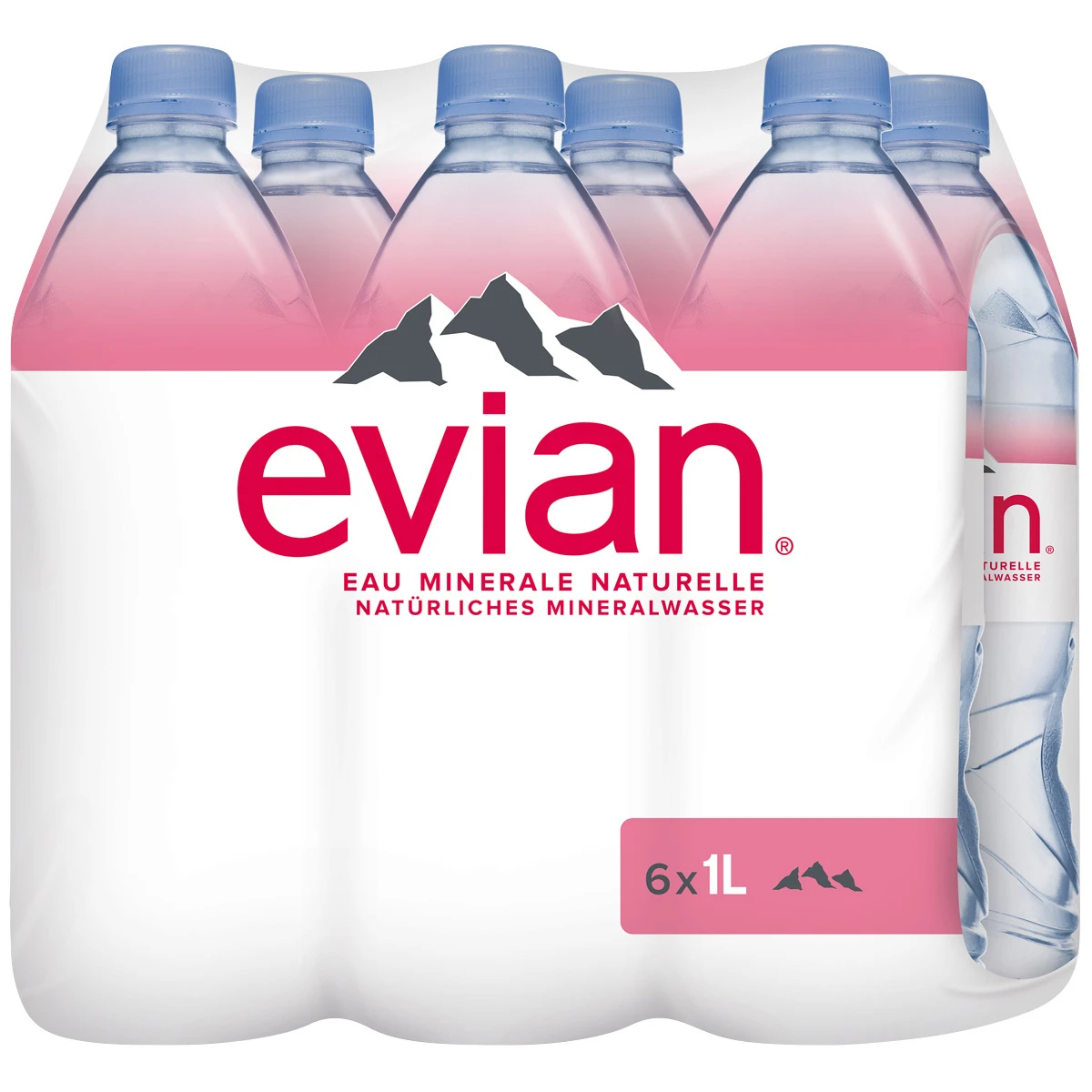Evian, eau minérale naturelle, 6 x 1 litre