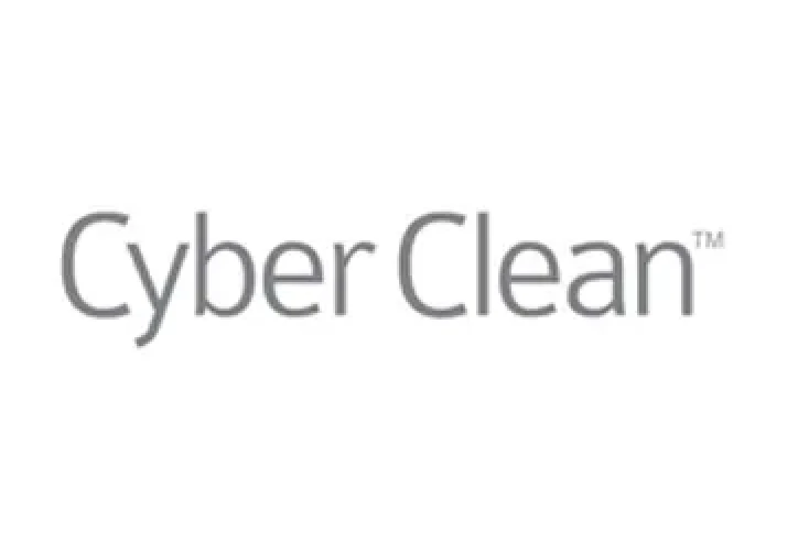 Cyber Clean