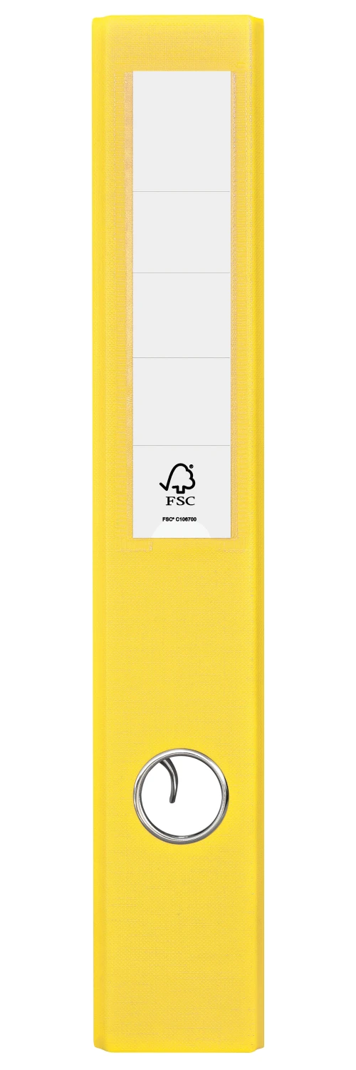 ESSELTE Classeur CH Standard 5 cm