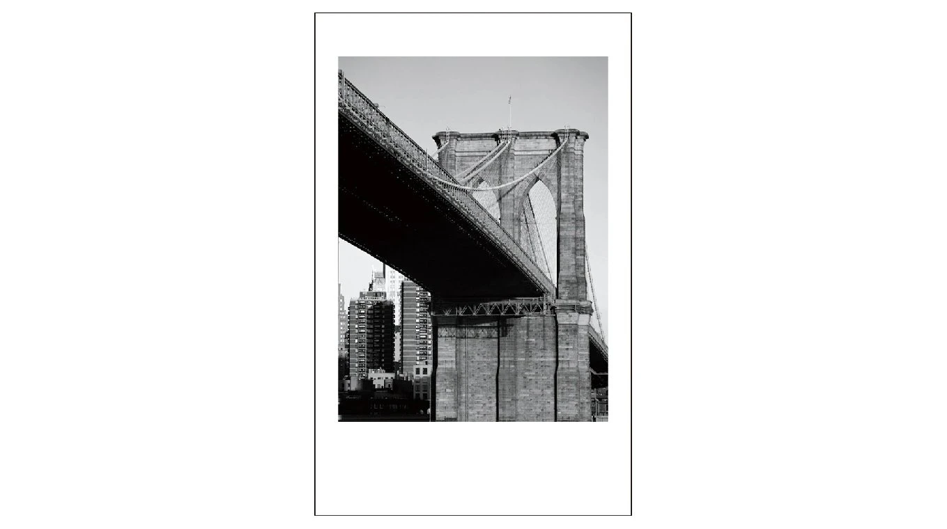FUJIFILM Instax Mini Film Monochrome