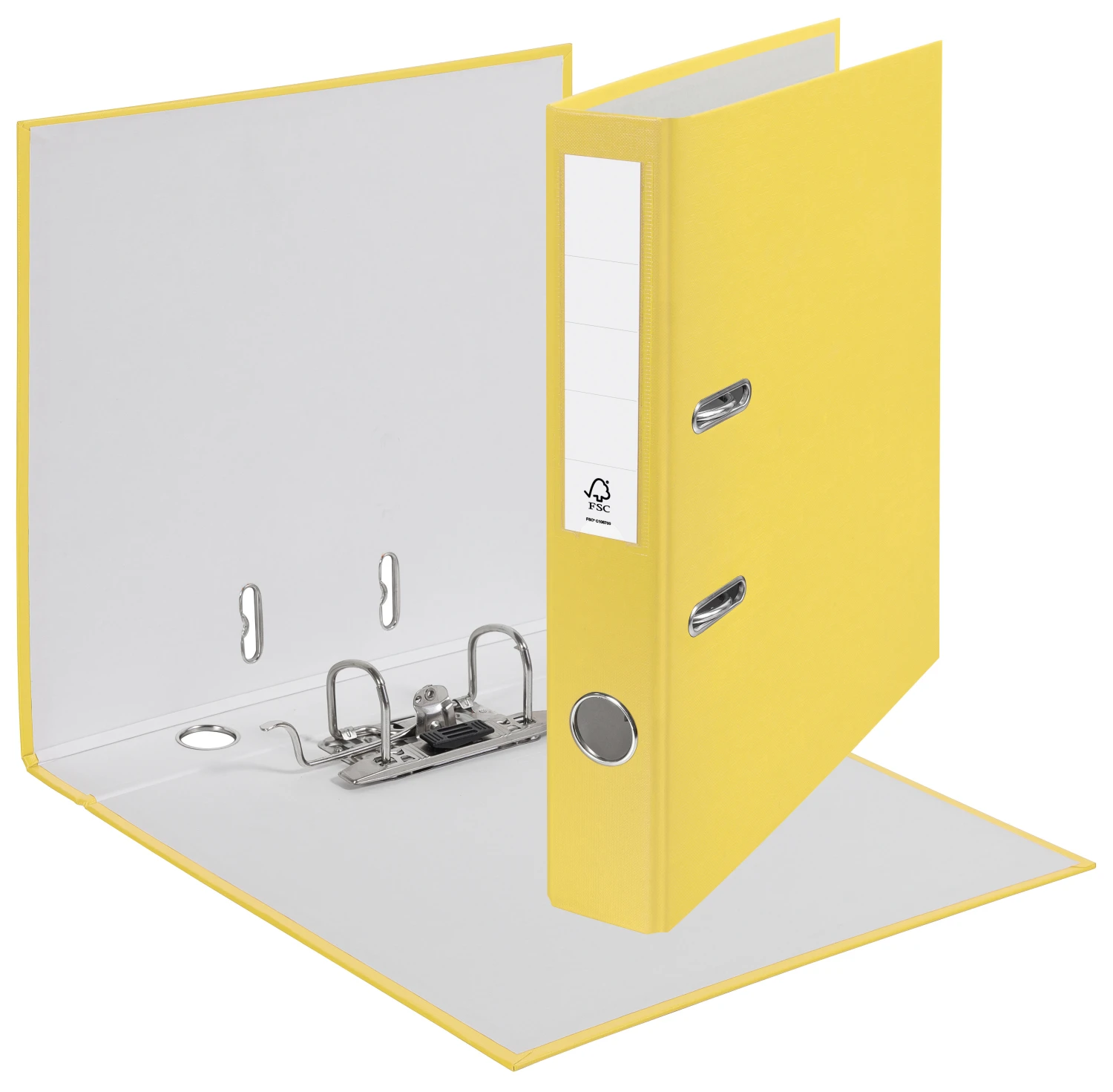 ESSELTE Classeur CH Standard 5 cm