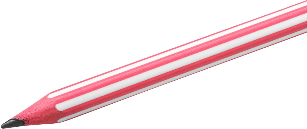 BIC Bleistift Evolution Stripes