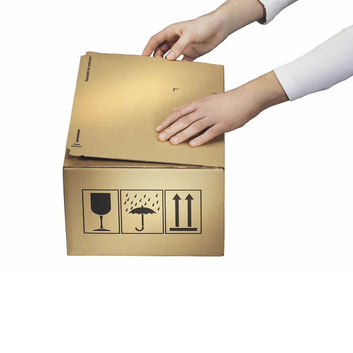 Boîte d'expéditions multiples, 310 x 230 x 160 mm