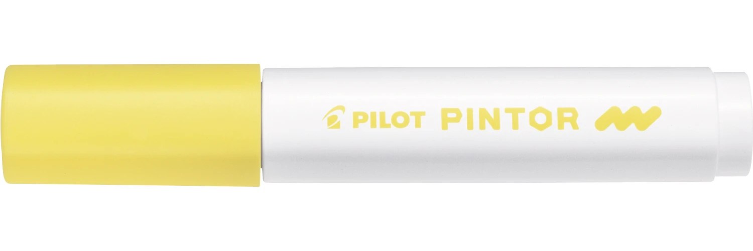PILOT Marker Pintor M
