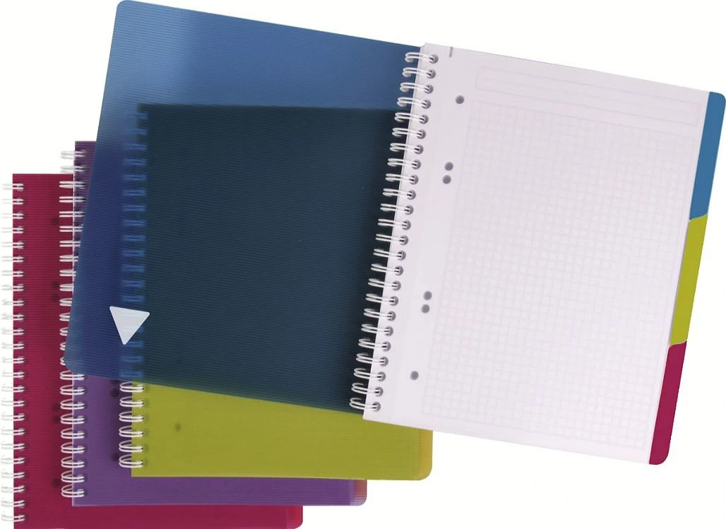 CLAIREFONTAINE LINICOLOR Cahier A5+ - quadrillé